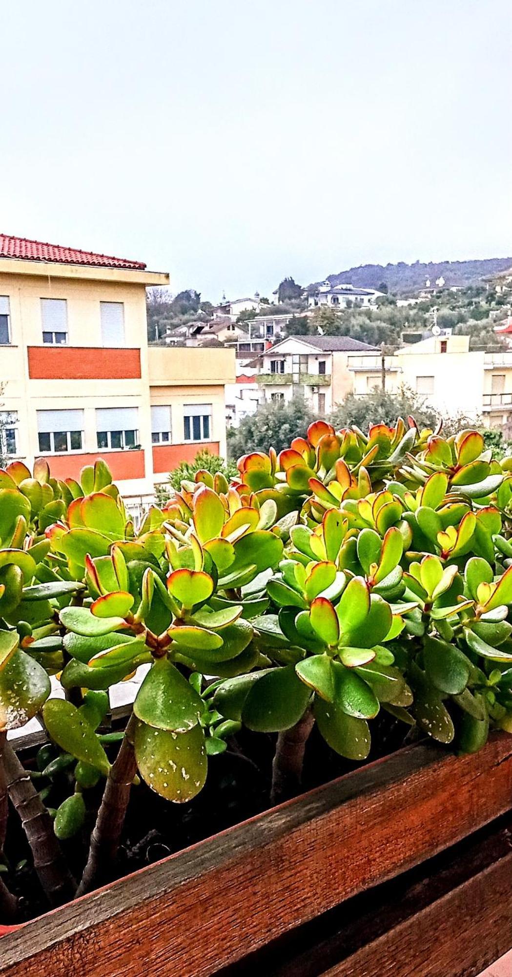 Big Mama Jungle Rooms Terracina Ngoại thất bức ảnh
